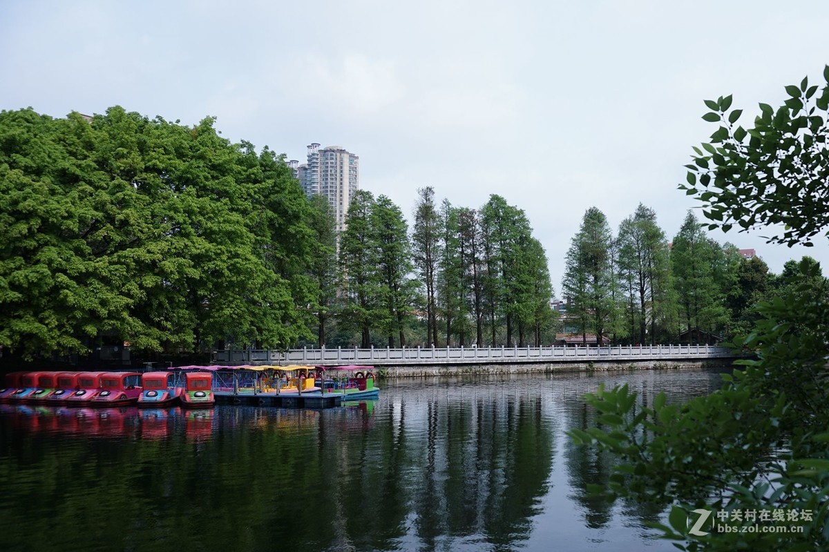 東山湖公園1