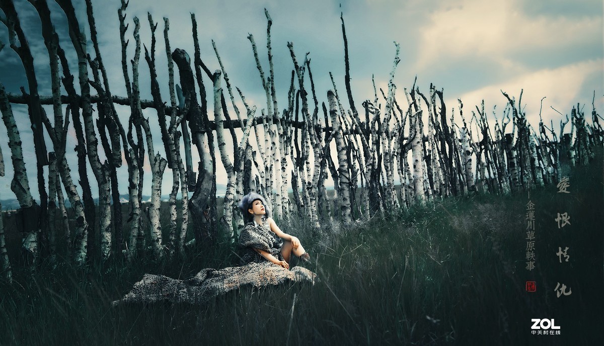 【爱恨情仇  ● 金莲川轶事之二】