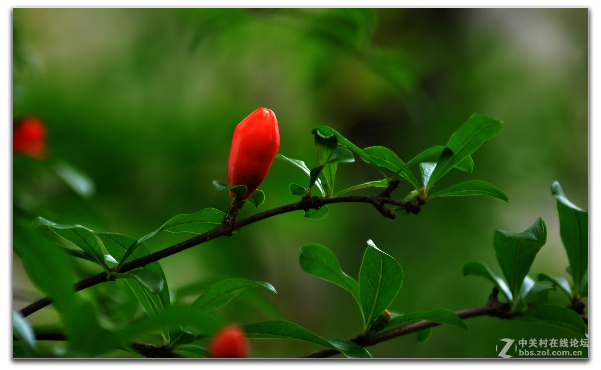 院子内外的小品作业