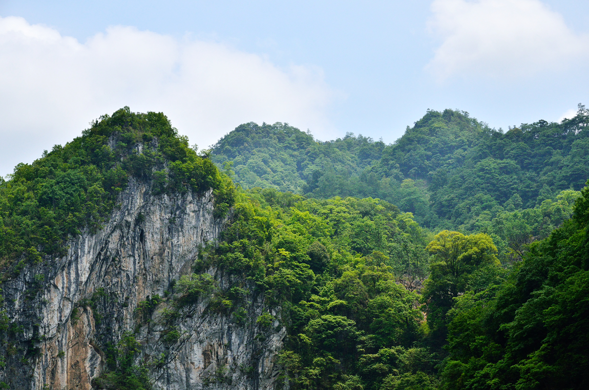 家乡风景之仙鹤坪天然森林