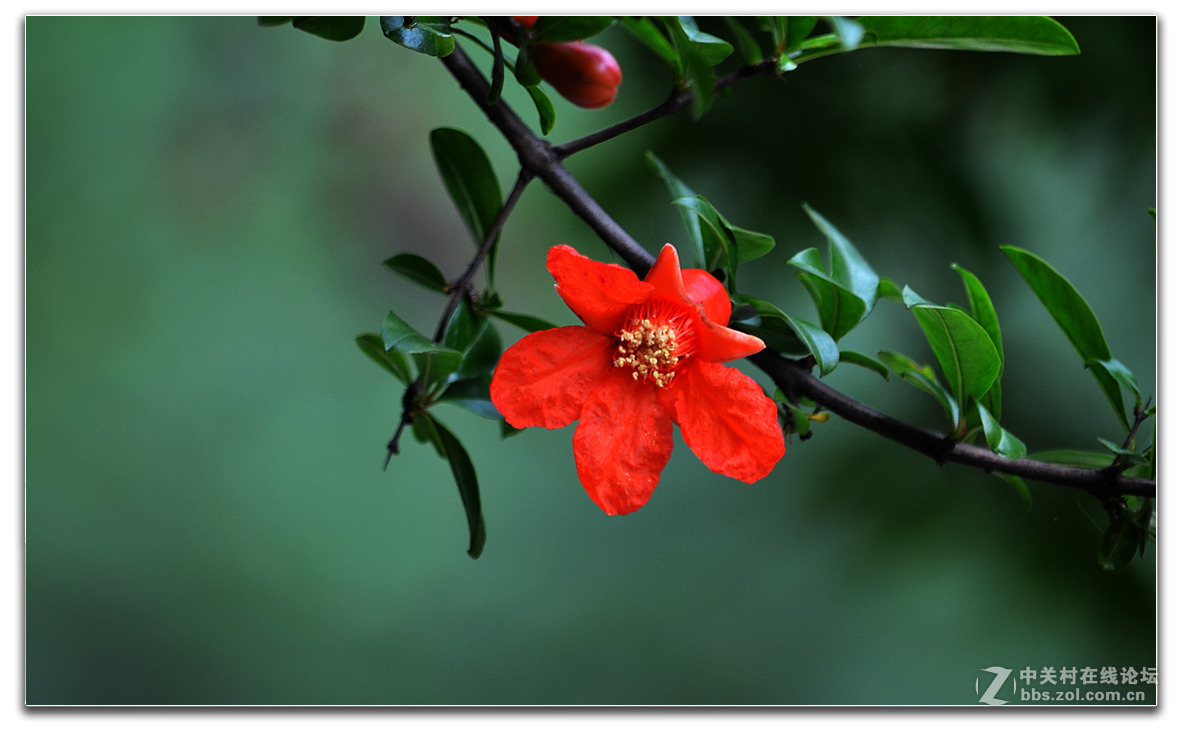 院子内外的小品作业