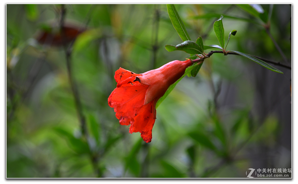 院子内外的小品作业