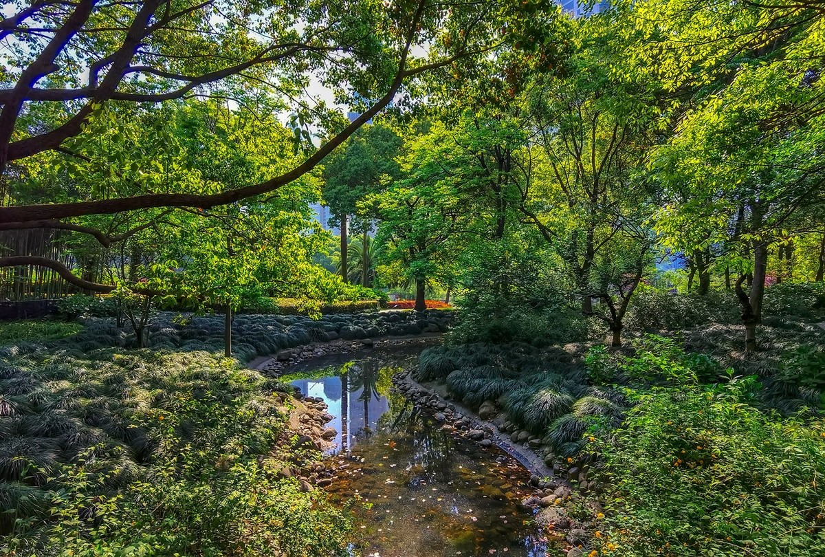 走走拍拍手机版