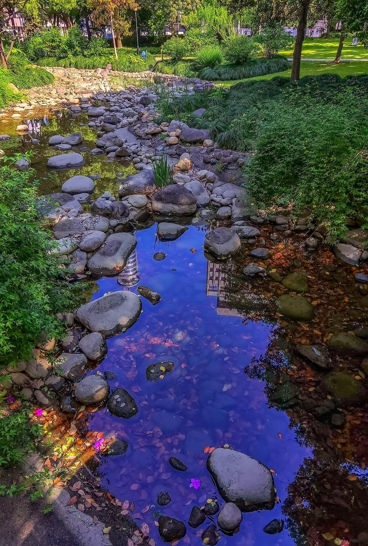 走走拍拍手机版