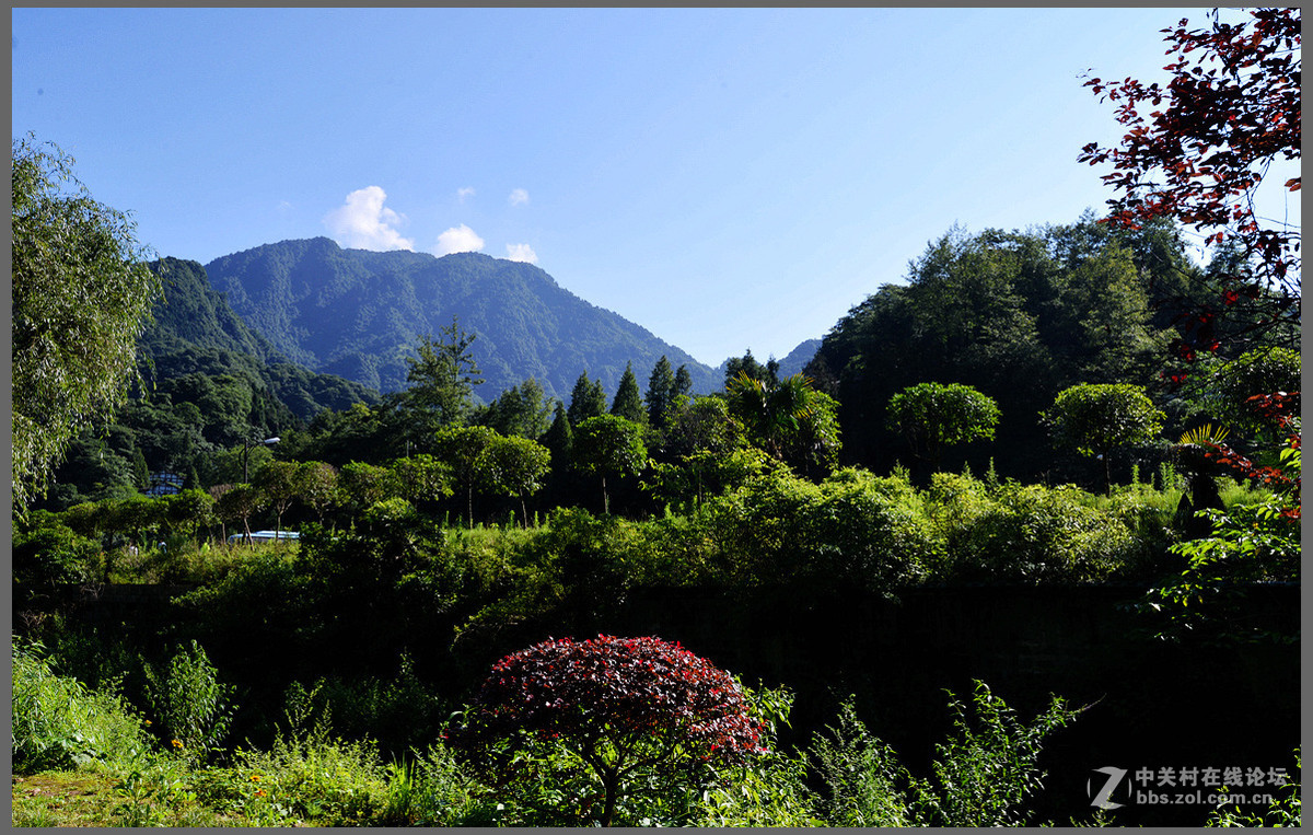 都江堰市青城后山