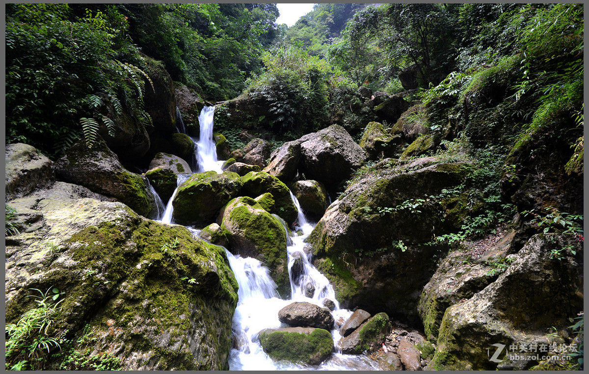 都江堰市青城后山