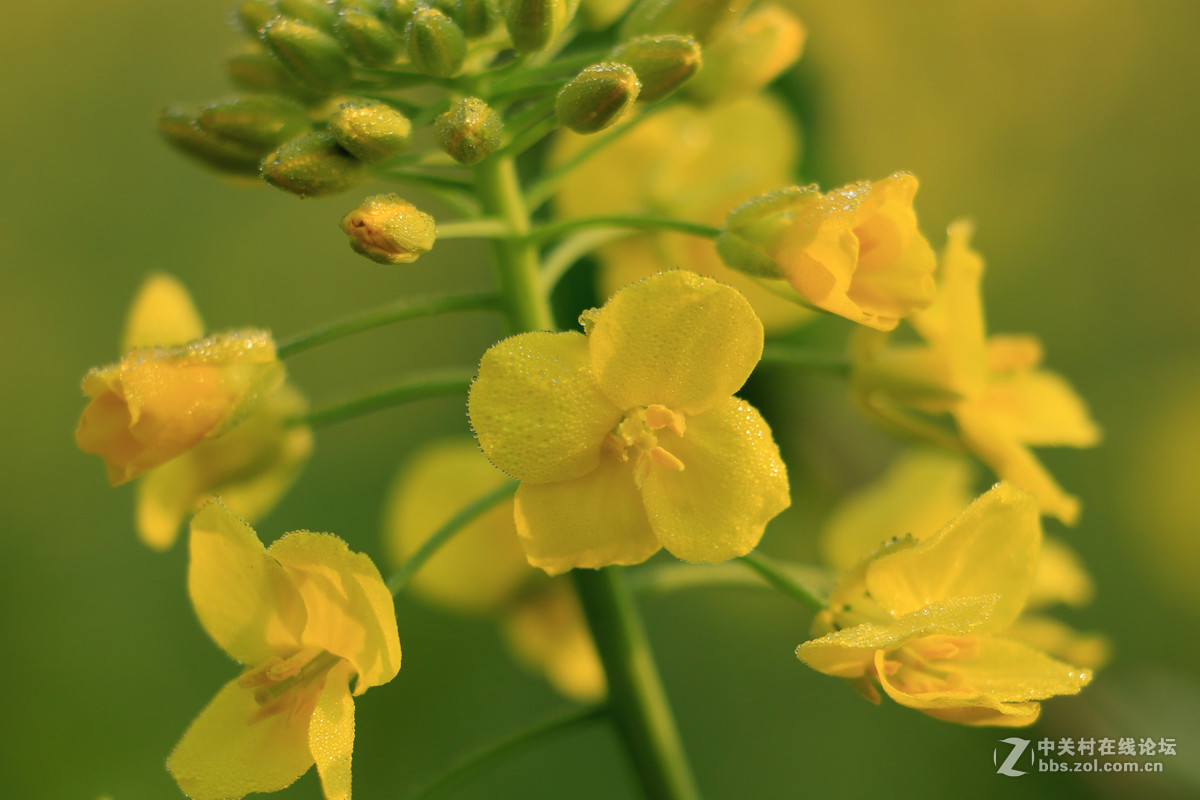 70Ｄ　18－135套机拍的几张图