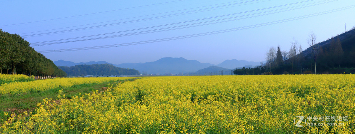 70Ｄ　18－135套机拍的几张图