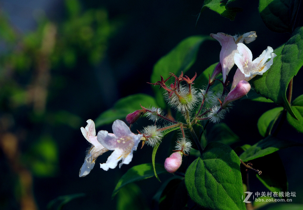 《带一组G12作业欢迎马末仁版主指导》
