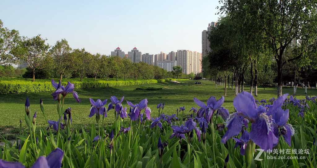 《带一组G12作业欢迎马末仁版主指导》