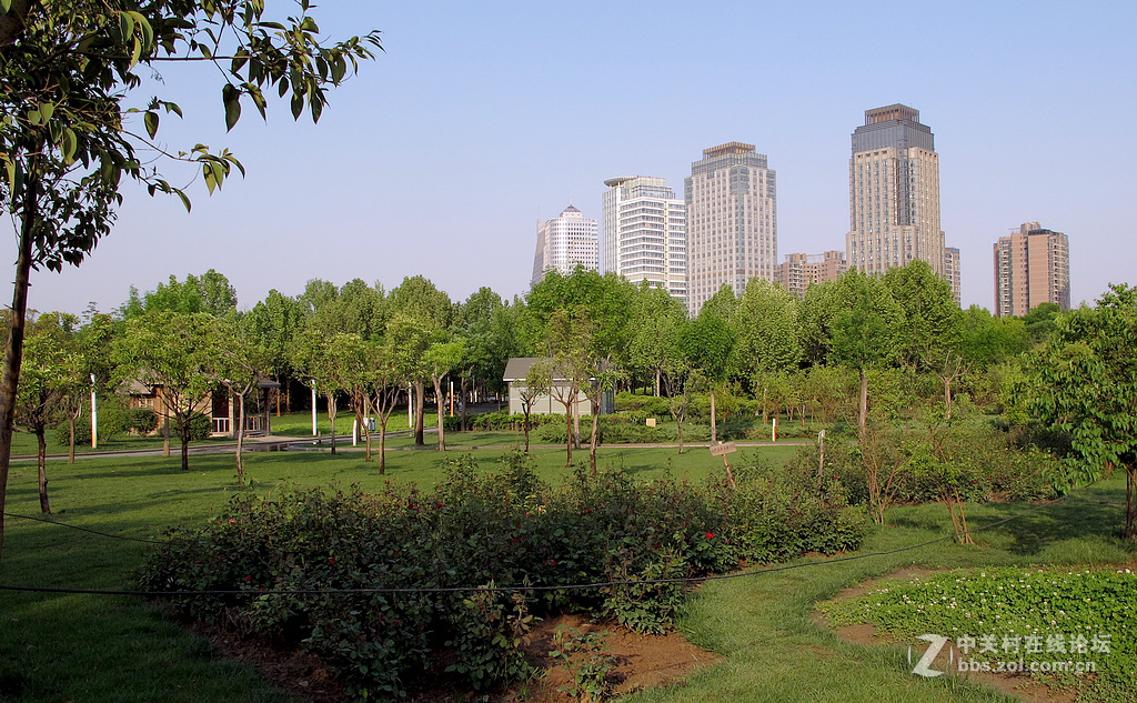 《带一组G12作业欢迎马末仁版主指导》