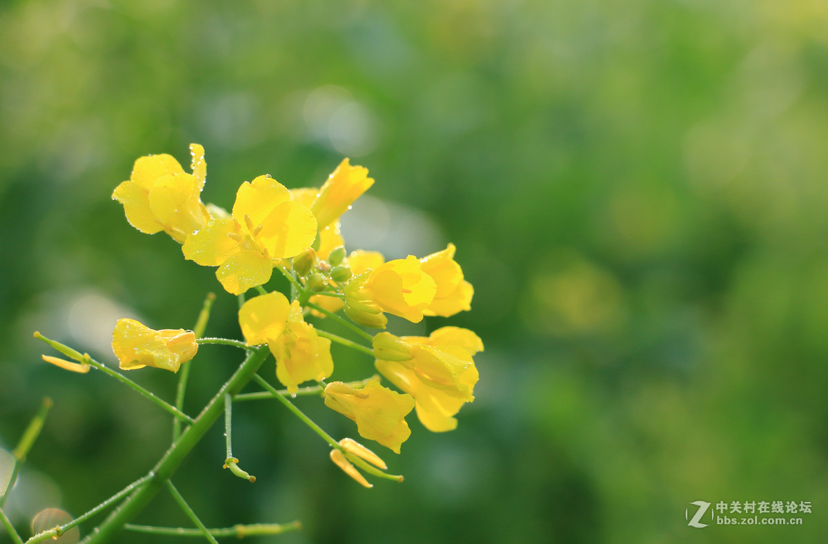 70Ｄ　18－135套机拍的几张图