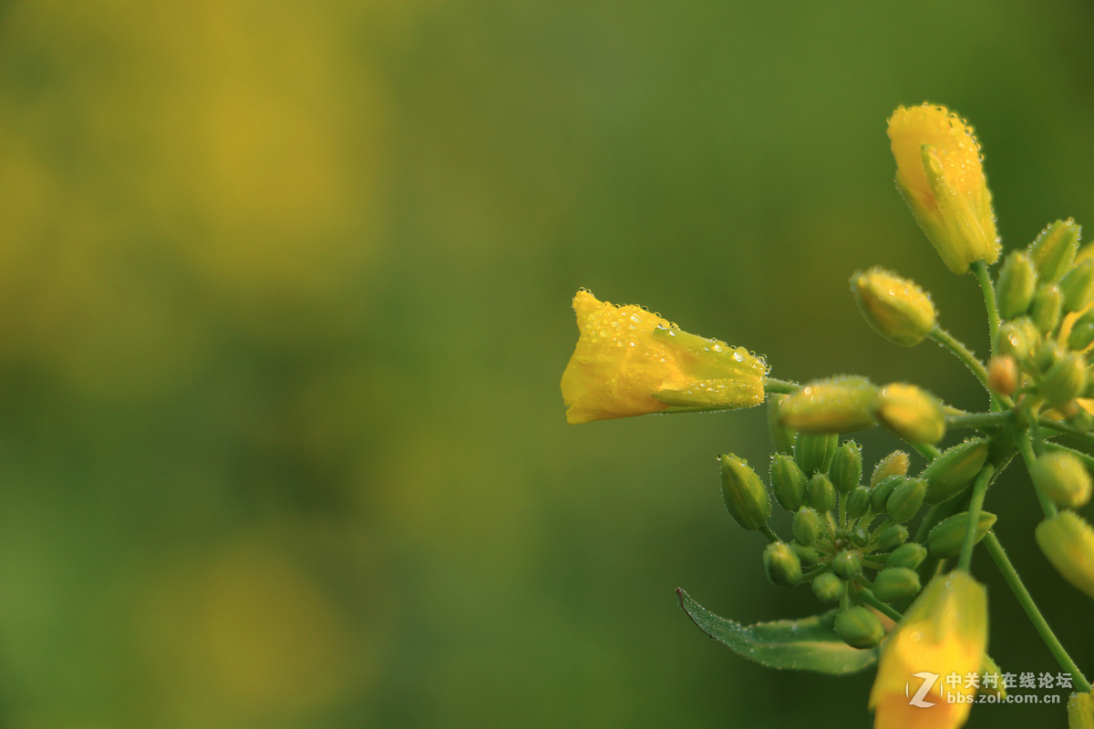 70Ｄ　18－135套机拍的几张图