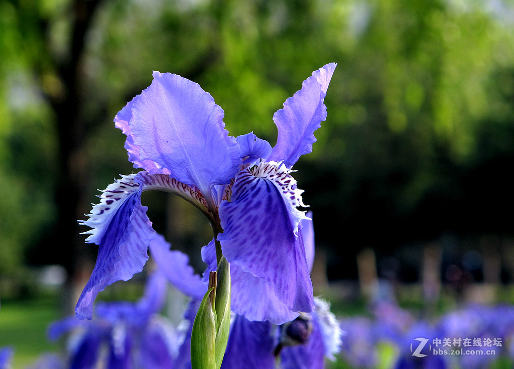 《带一组G12作业欢迎马末仁版主指导》