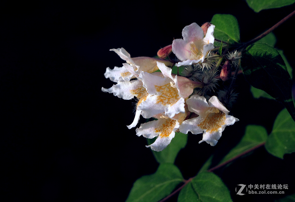《带一组G12作业欢迎马末仁版主指导》