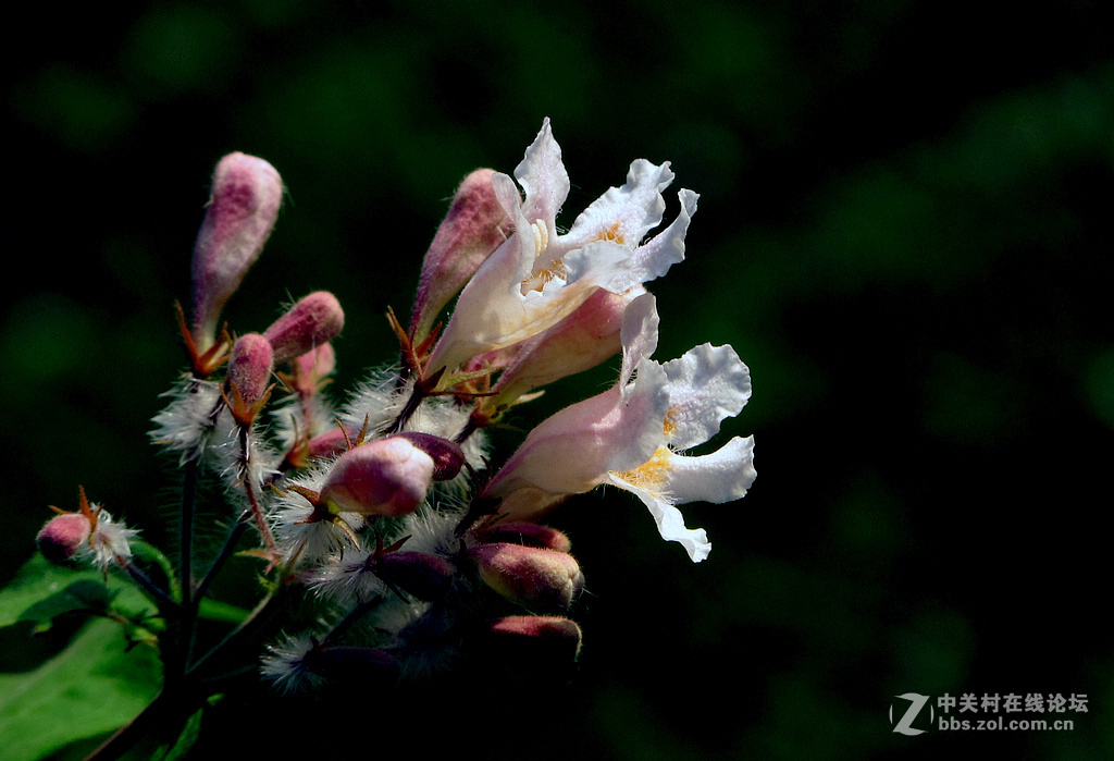 《带一组G12作业欢迎马末仁版主指导》