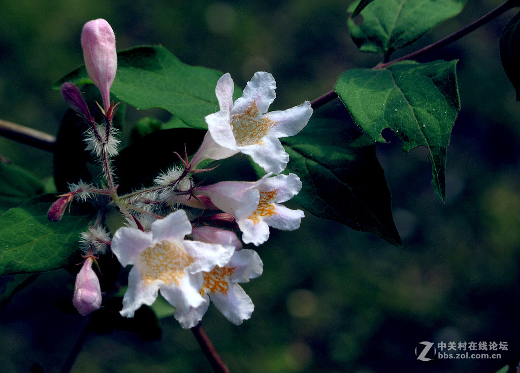 《带一组G12作业欢迎马末仁版主指导》