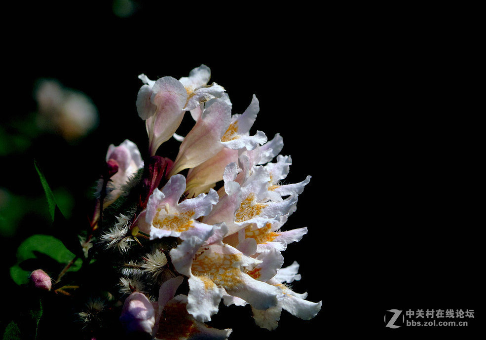 《带一组G12作业欢迎马末仁版主指导》