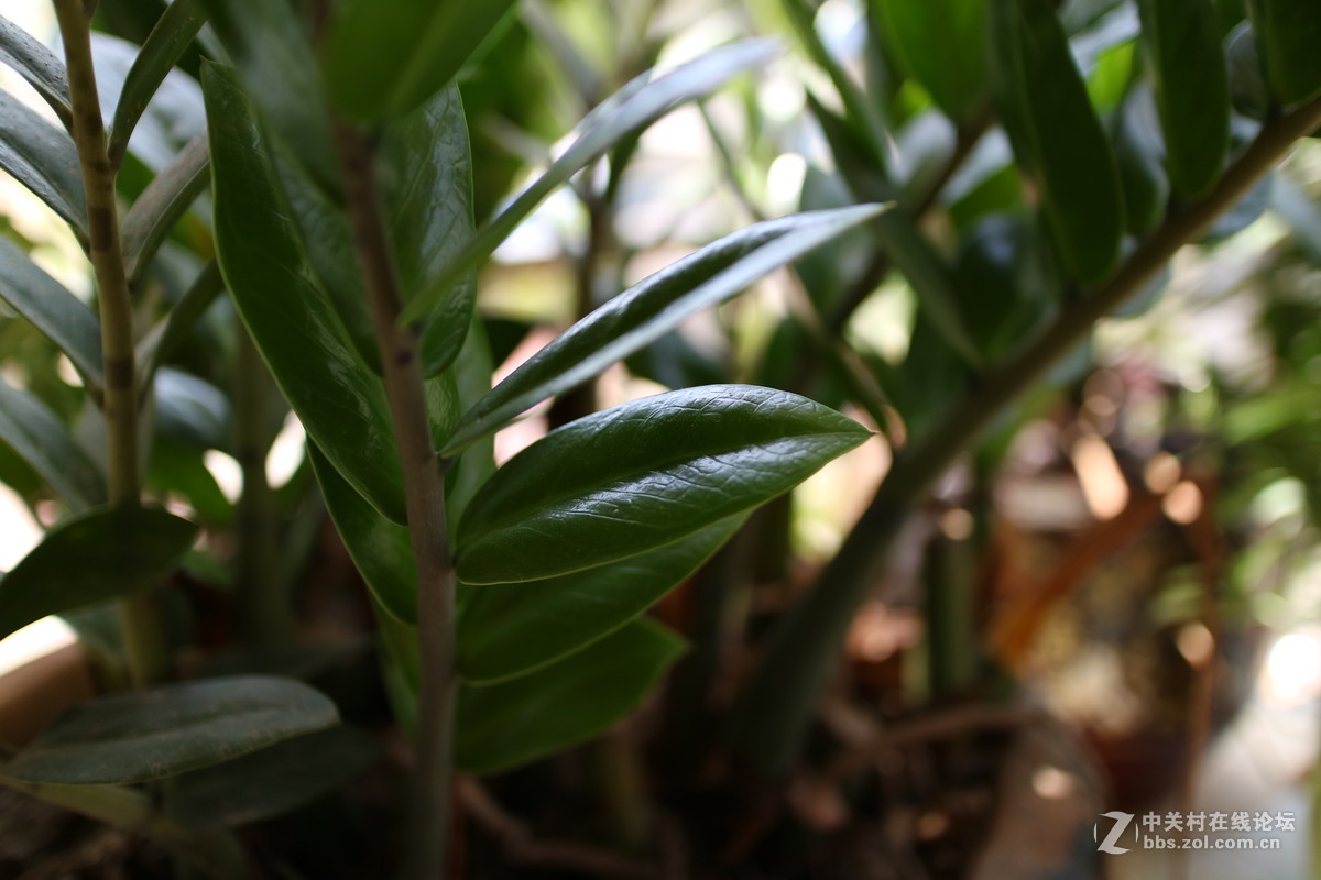 刚刚入手M3，大家随意看看@！！！