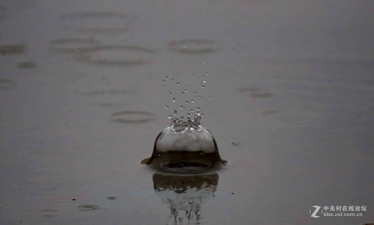 。雨。天。