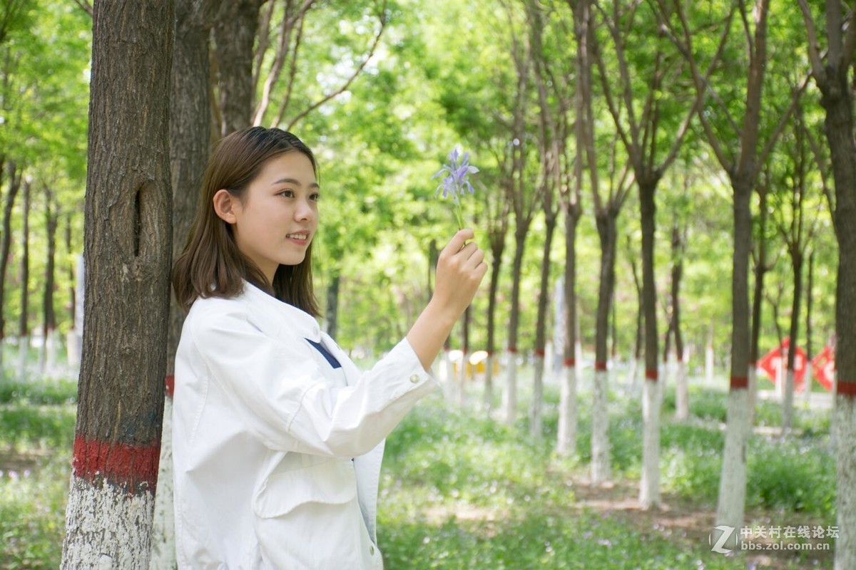 林中美女