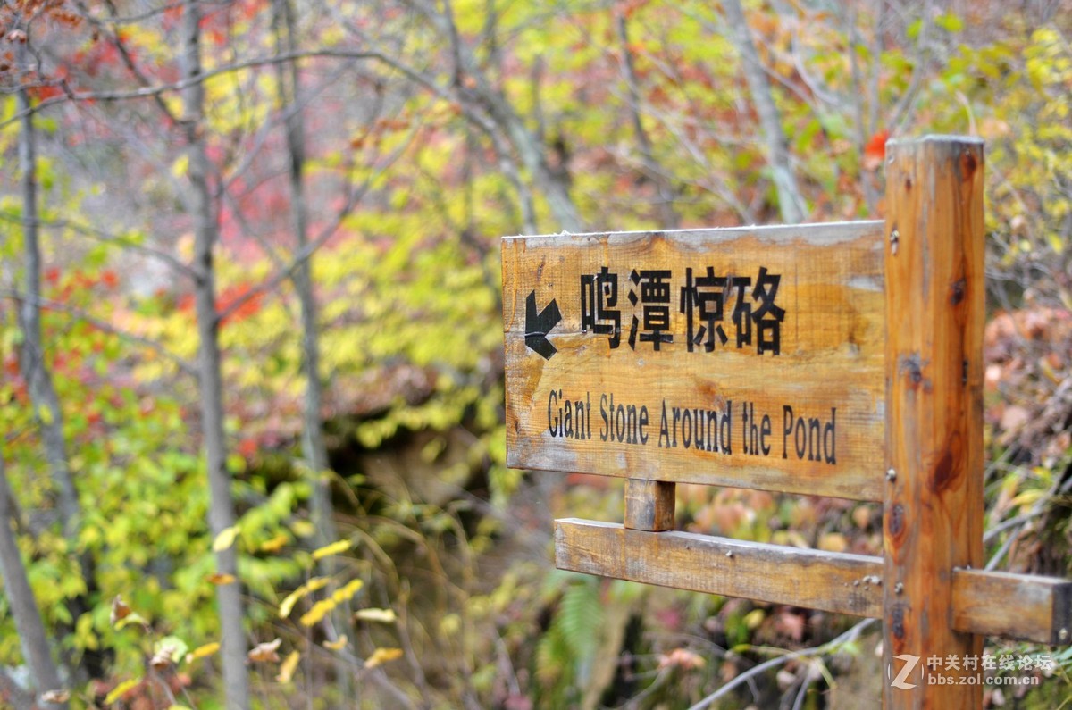 枫都秋色