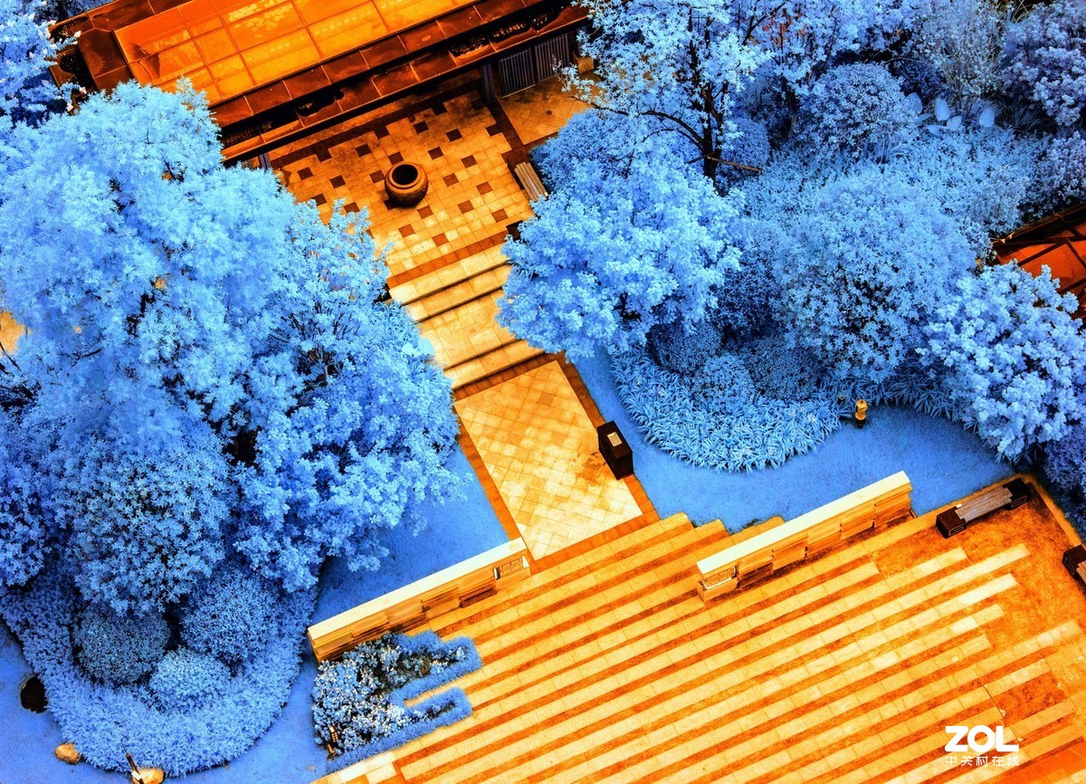 红外世界里的夏日景色