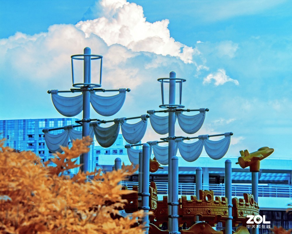 红外世界里的夏日景色