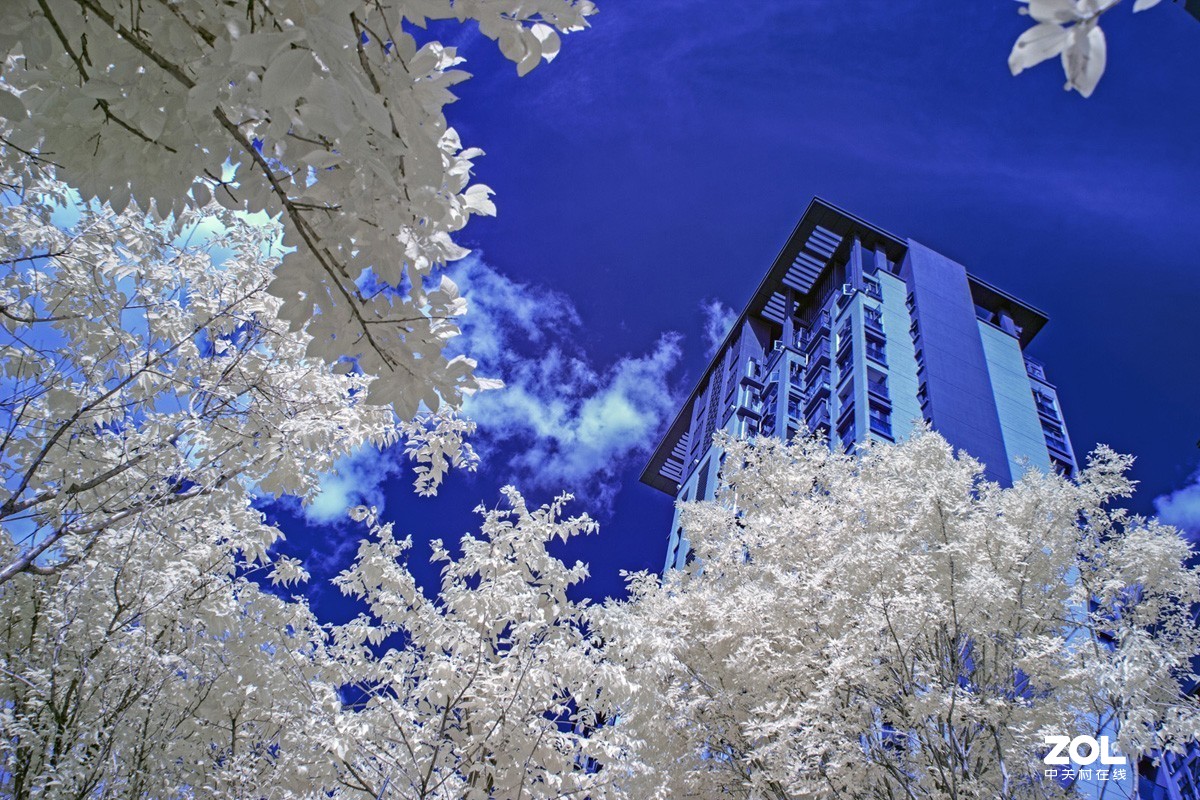 红外世界里的夏日景色