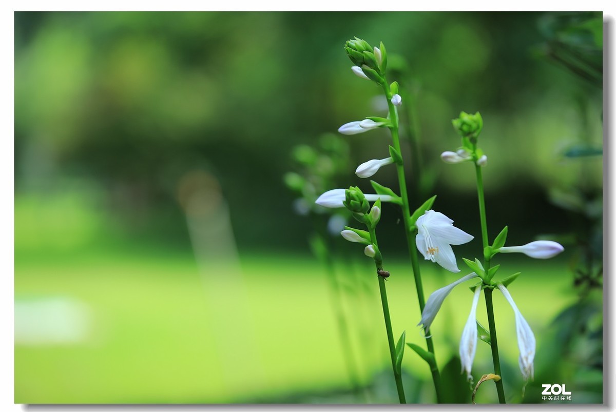 很久没逛星空(中国)了，加点人气