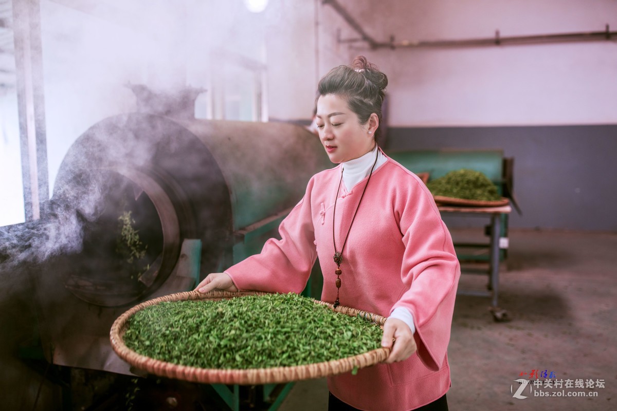 【如影人文】制茶工