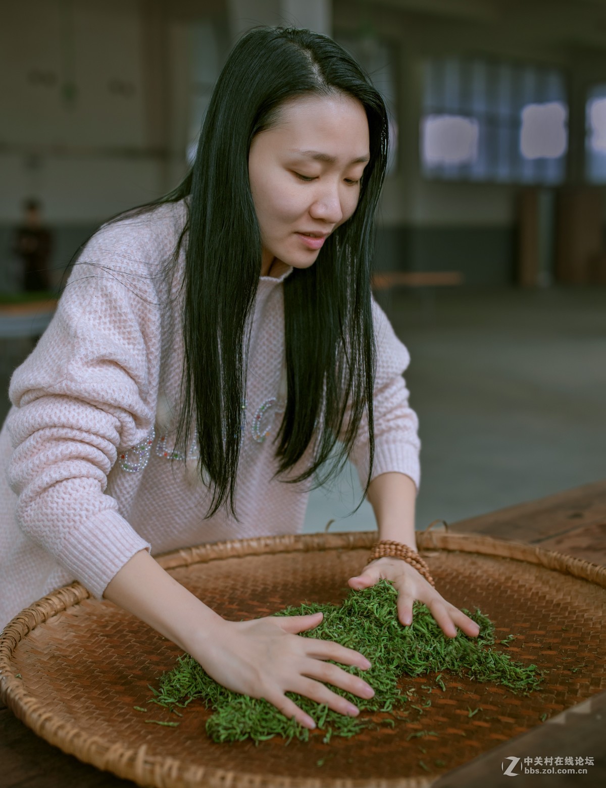 【如影人文】制茶工