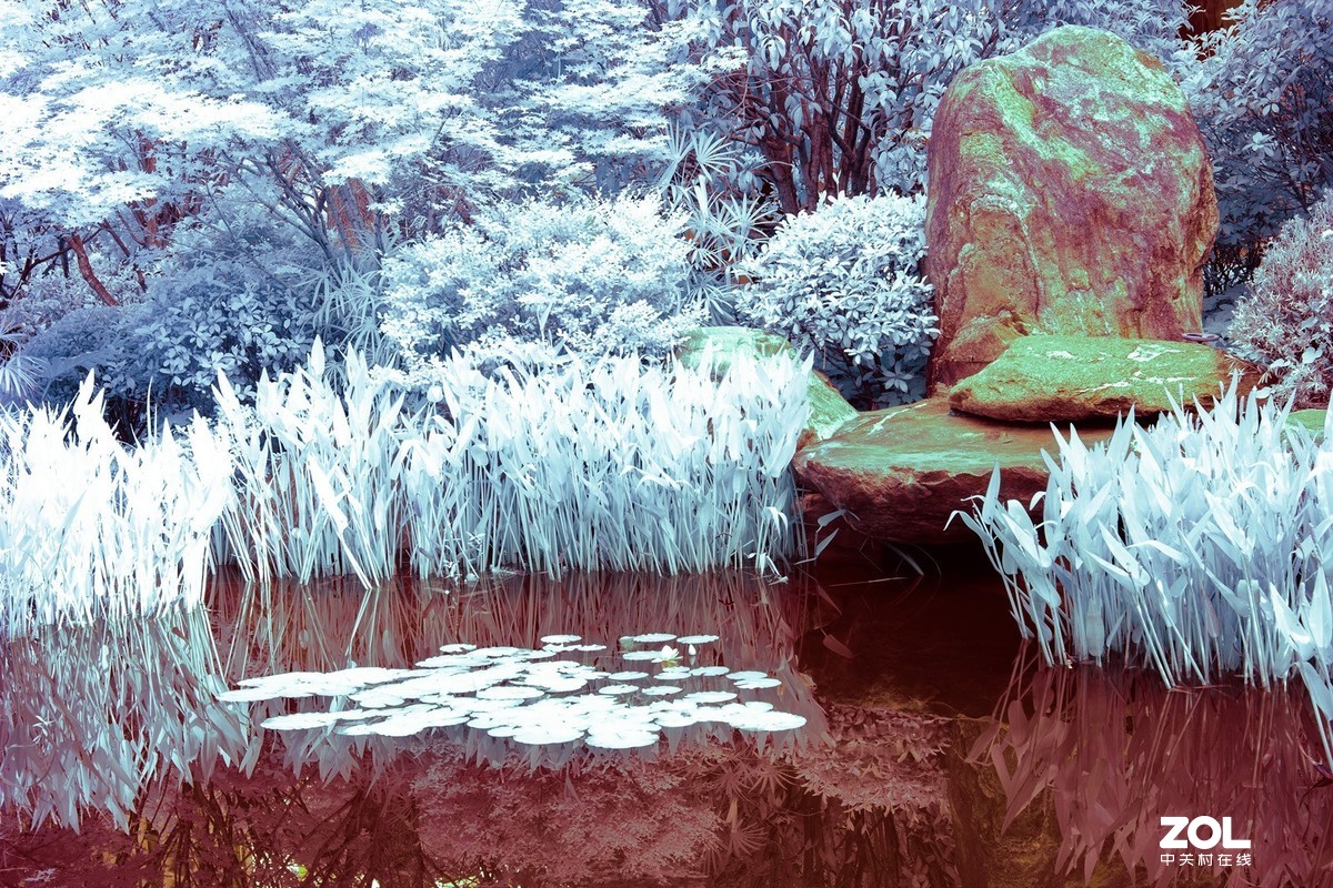 红外世界里的夏日景色