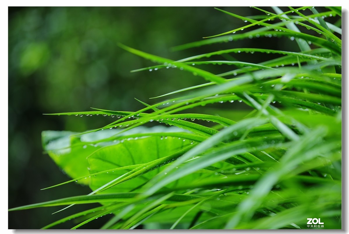 很久没逛星空(中国)了，加点人气