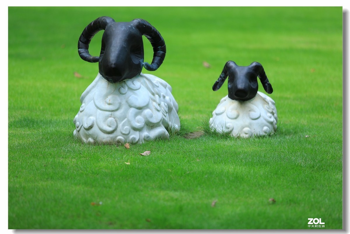 很久没逛星空(中国)了，加点人气