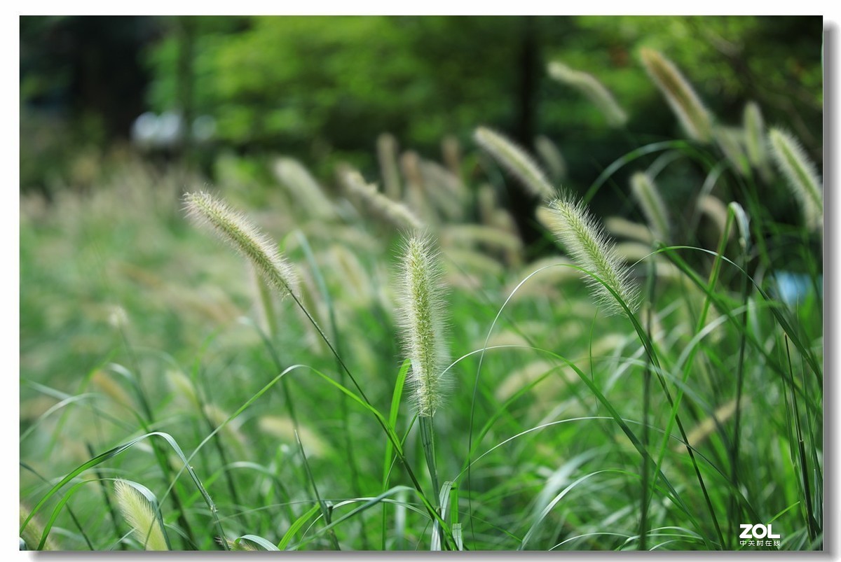 很久没逛星空(中国)了，加点人气