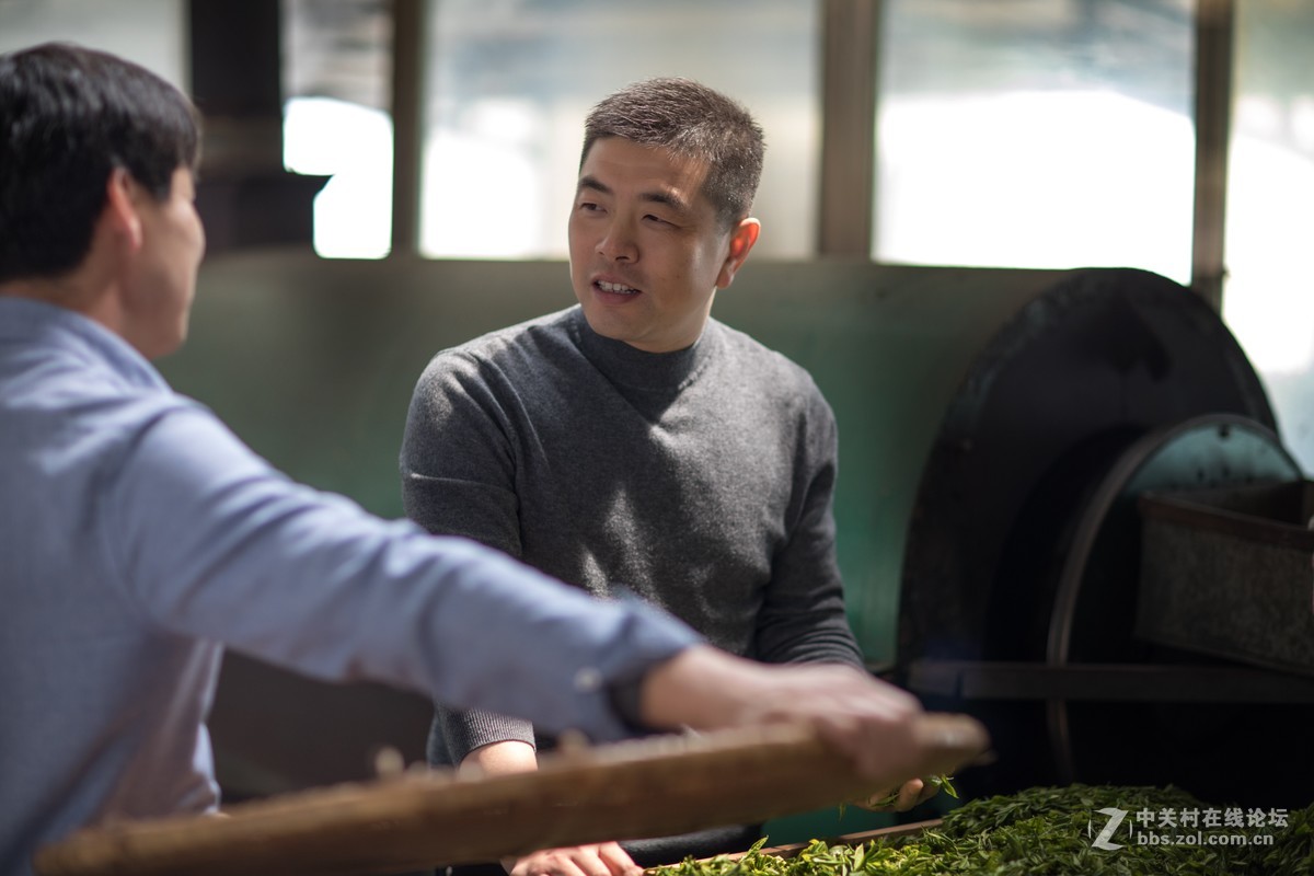 【如影人文】制茶工