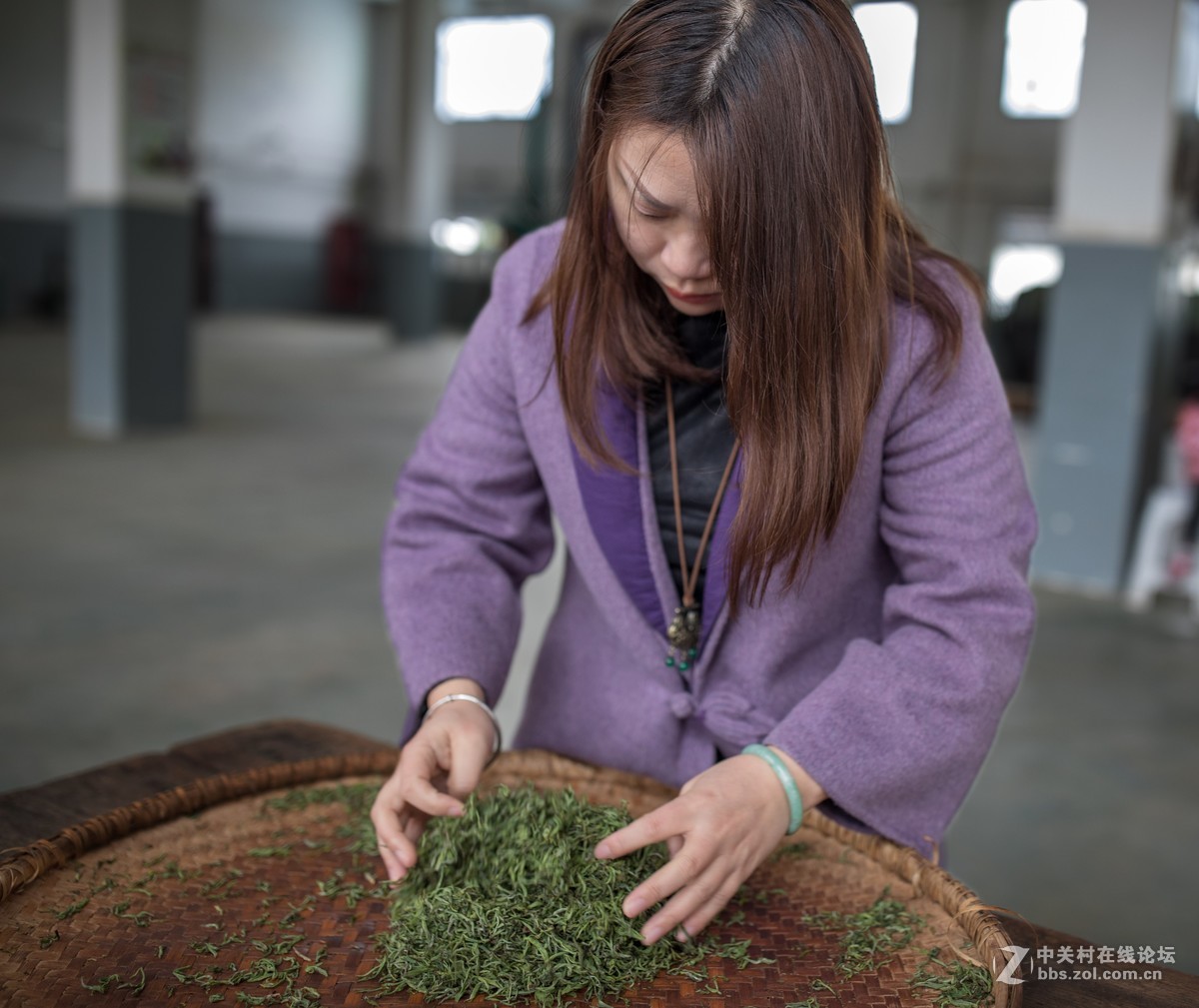 【如影人文】制茶工