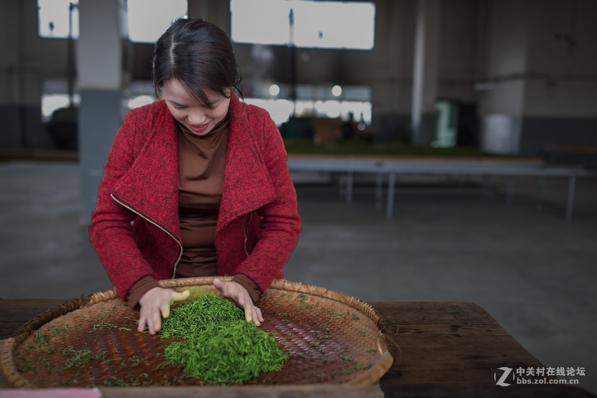 【如影人文】制茶工