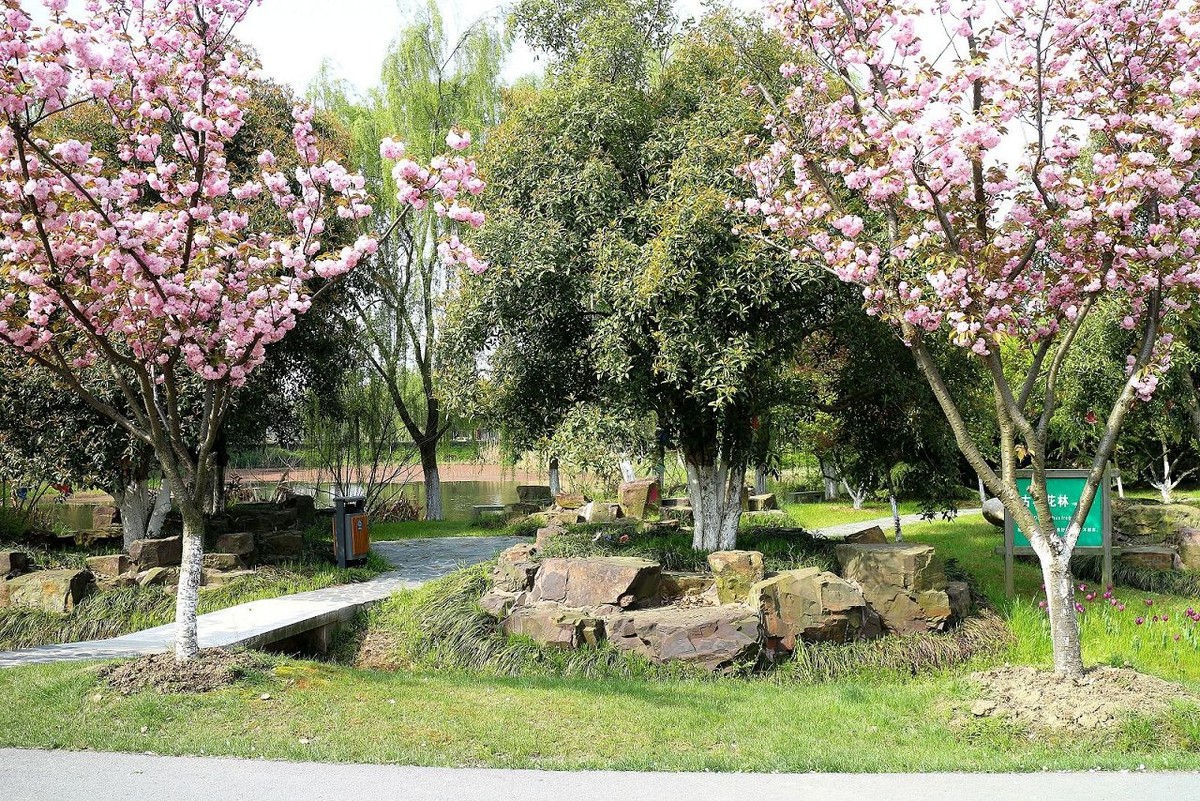 苏州花卉植物园园景