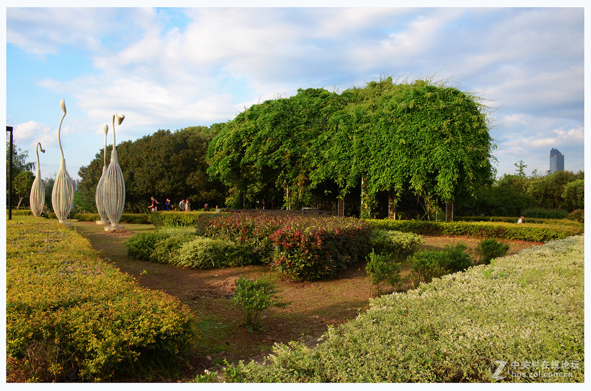 南昌红谷滩湿地公园-中关村在线摄影论坛