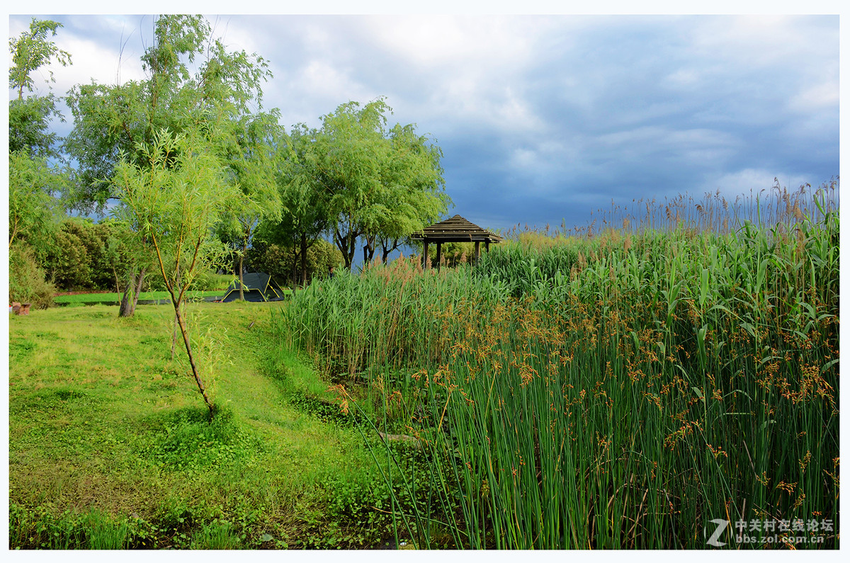 南昌红谷滩湿地公园-中关村在线摄影论坛