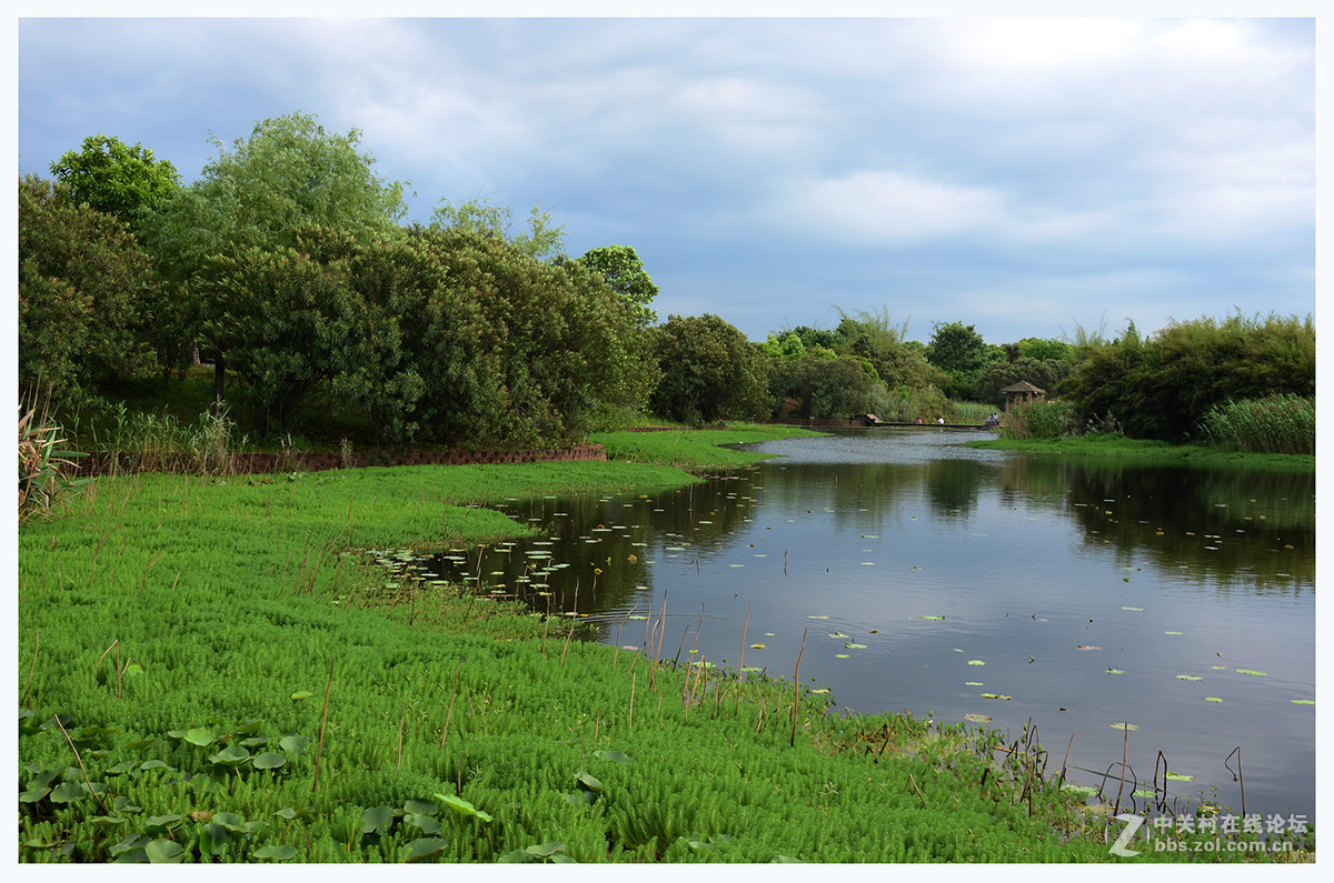 南昌红谷滩湿地公园-中关村在线摄影论坛
