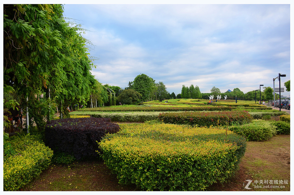 南昌红谷滩湿地公园-中关村在线摄影论坛