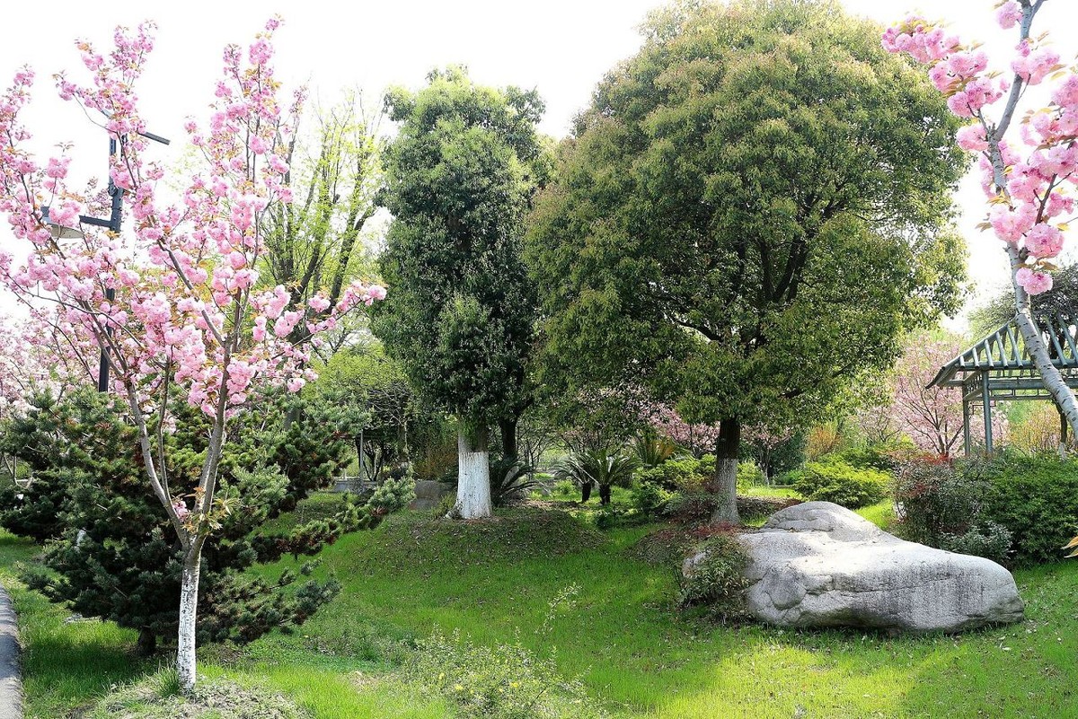 苏州花卉植物园园景