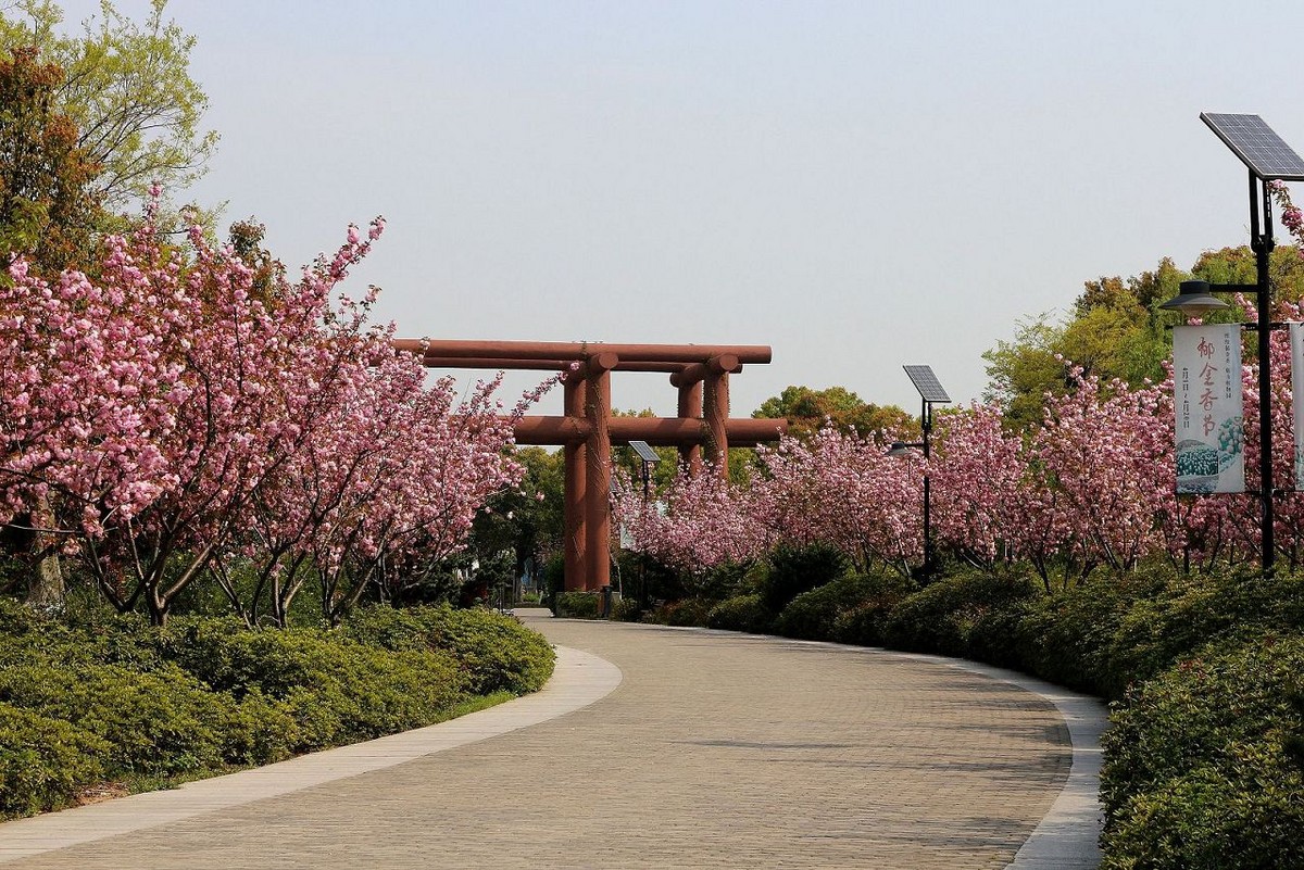 苏州花卉植物园地址图片