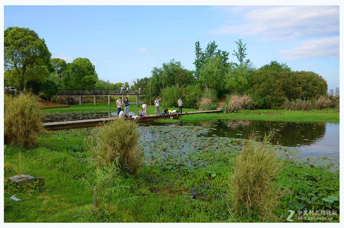 南昌红谷滩湿地公园-中关村在线摄影论坛