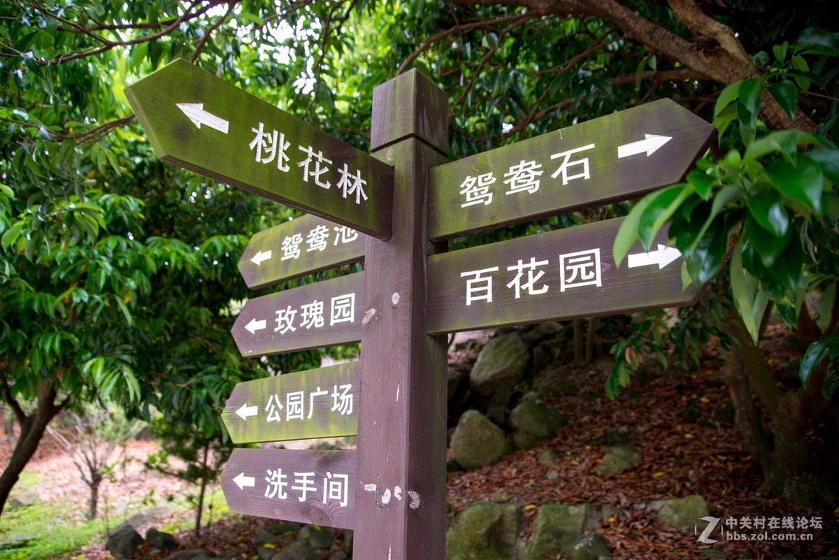 广东阳江海边游玩