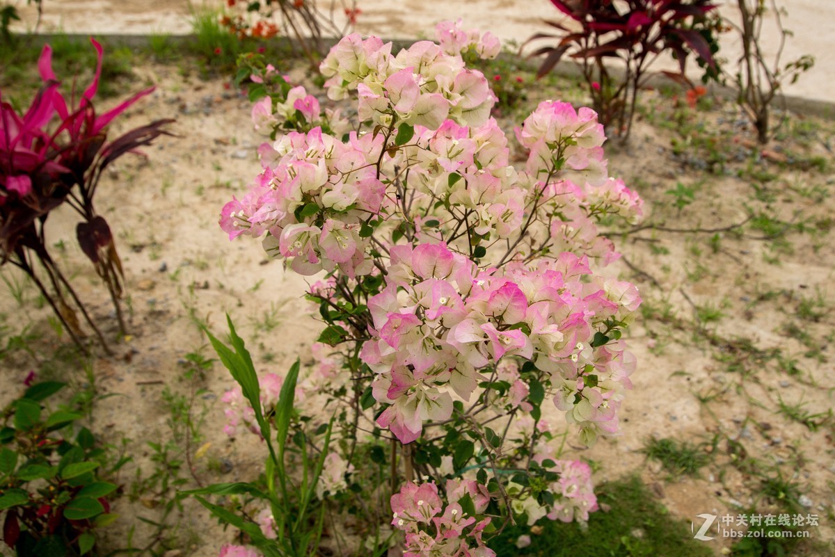 广东阳江海边游玩