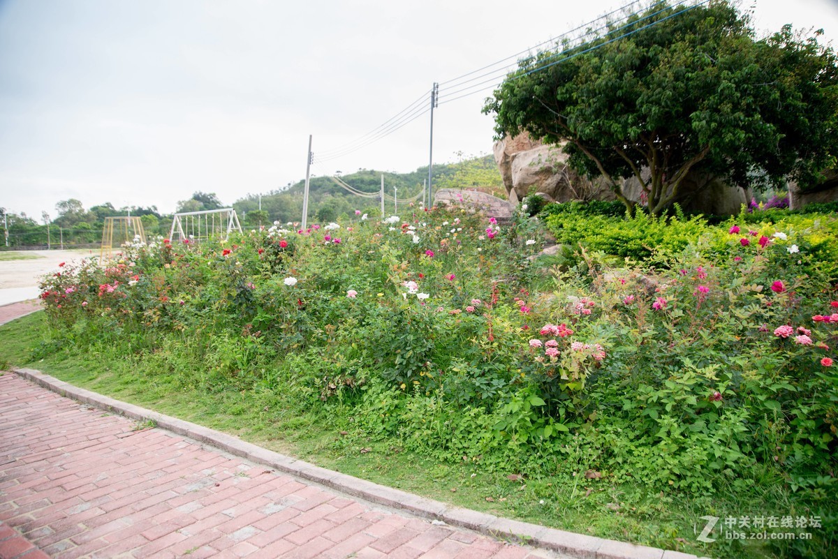 广东阳江海边游玩